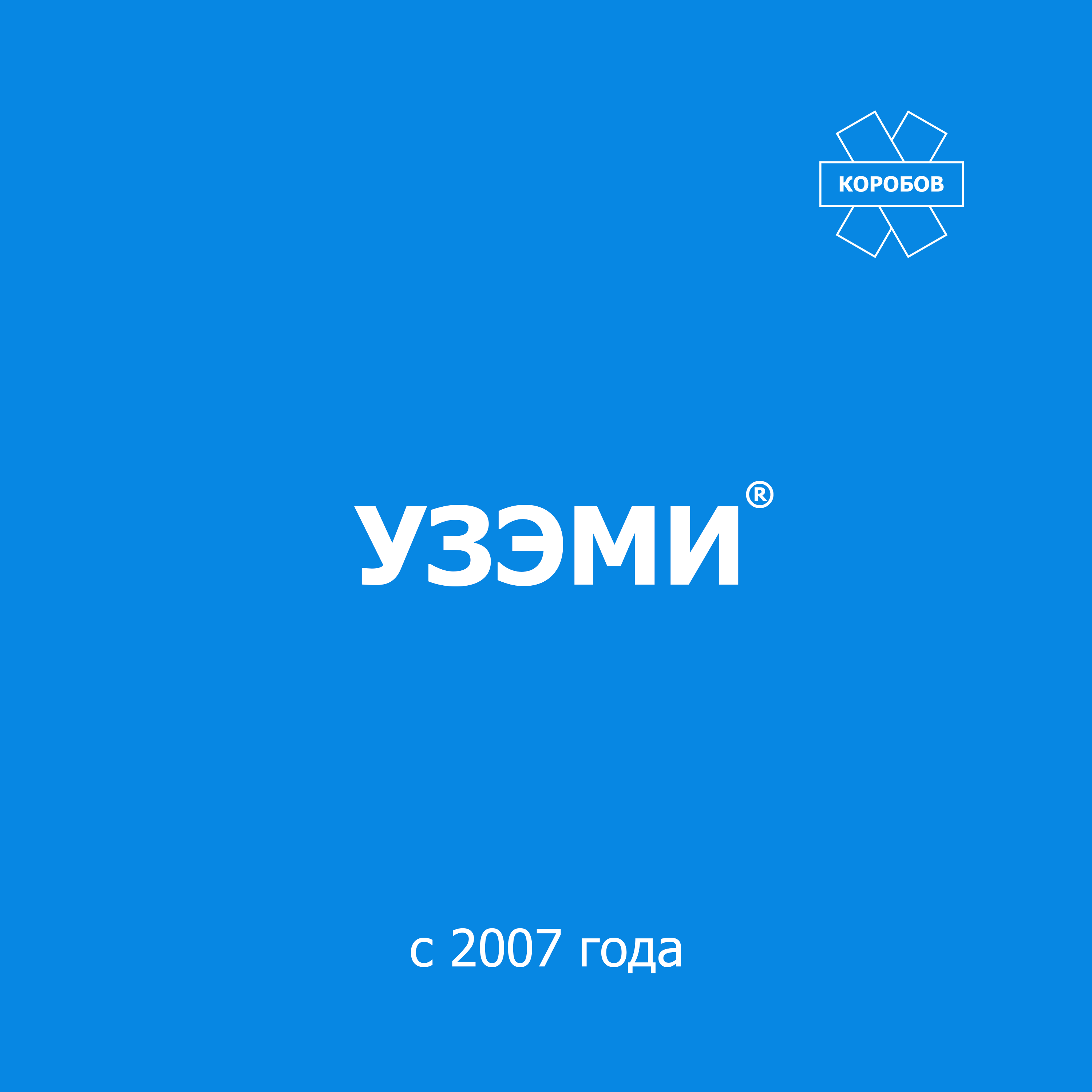УЗЭМИ