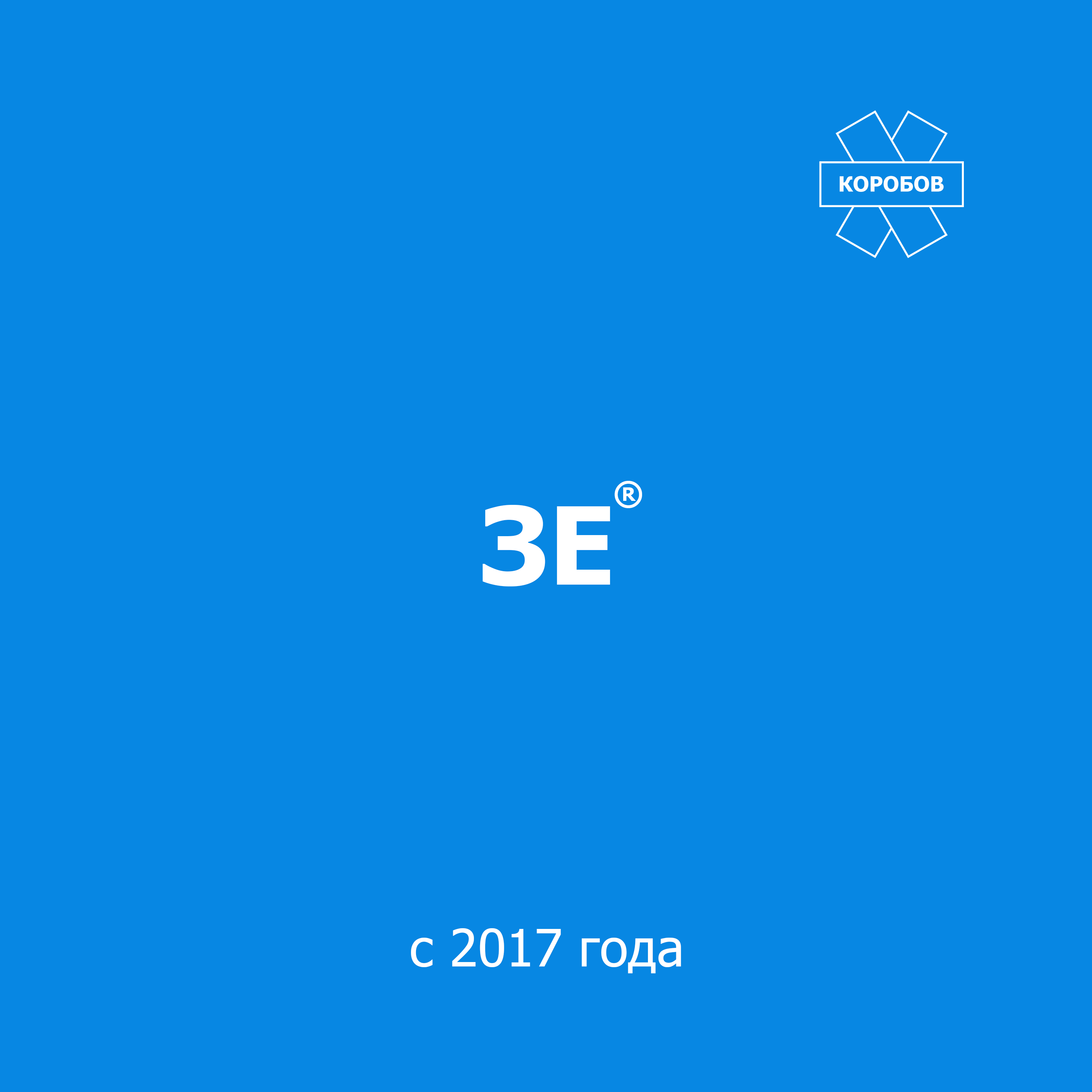 ЗЕ