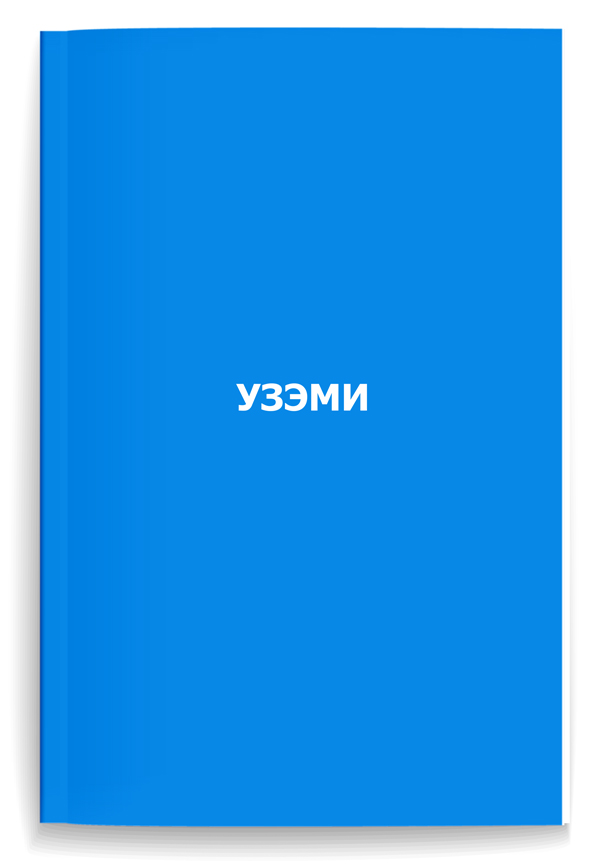 УЗЭМИ